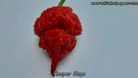 Reaper Naga - Pepper Seeds - White Hot Peppers